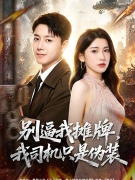 别逼我摊牌，我司机只是伪装(全集)