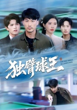 独臂球王 不服输的球王(全集)