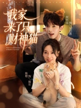 我家来了只财神猫(全集)