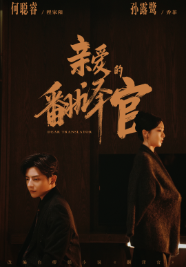 亲爱的翻译官(全集)